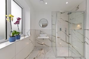 Shower Room- click for photo gallery